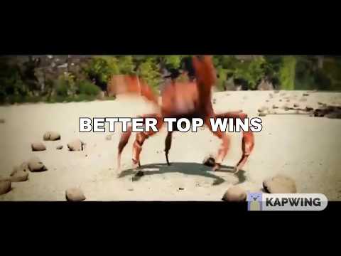 better top wins
