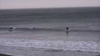 preview picture of video 'Surfing Queen Charlotte Islands North Beach'