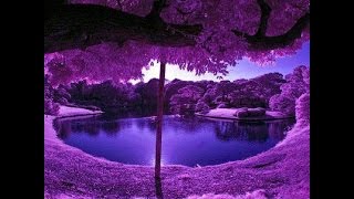 HEAVEN IS HERE[ONLY LOVE IS REAL]-MC YOGI/FEAT.MATISYAHU