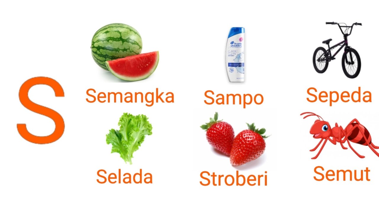 40 Kata berawalan huruf S