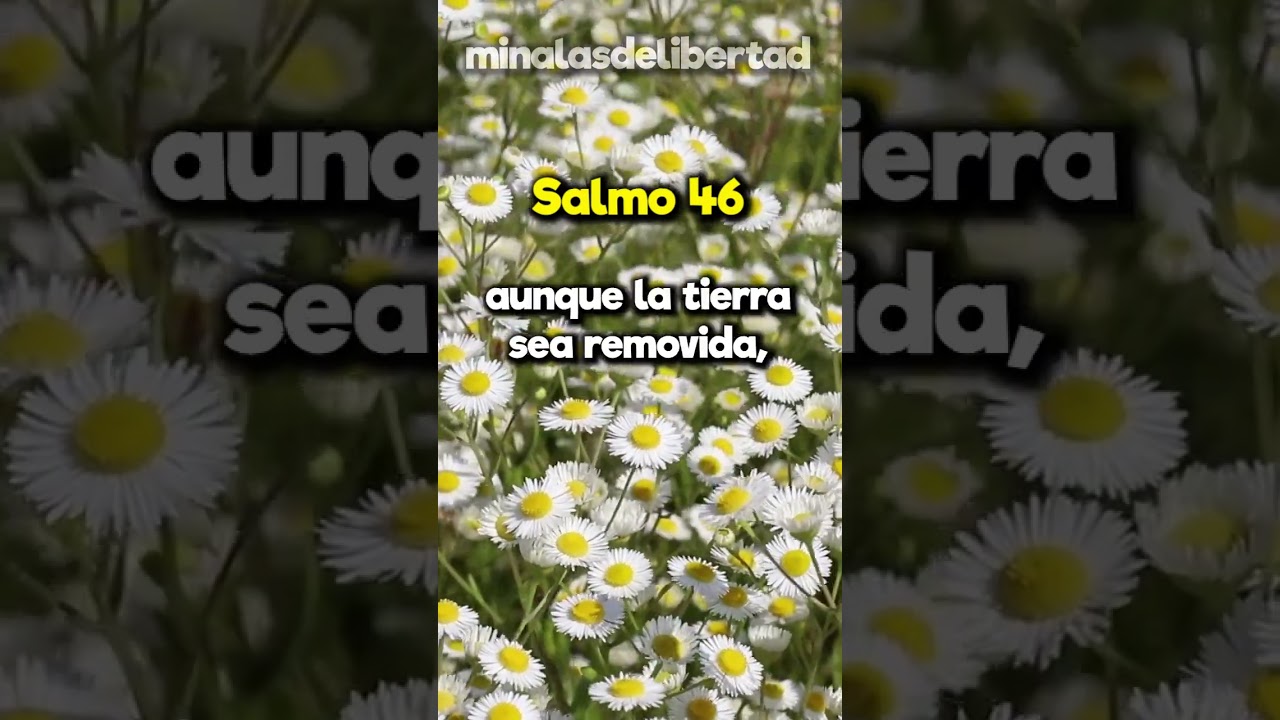 Psalm 46: Messages of Strength and Refuge | Bible Study