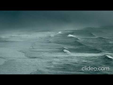 Poesie in Musica: Eugenio Montale - Tramontana