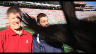Auburn Eagle Punches Alabama Fan