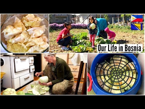 HOW TO MAKE SOUR CABBAGE | Kako se Kiseli Kupus Zelje | Harvesting and Making Pickled Cabbage