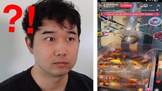 Fish abuse is getting out of control... | Fish Tank Review 333