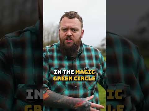 How To Stop Your Dog Pulling Quickly!