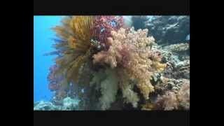 preview picture of video 'Three Sisters, Kadavu, Fiji - Matana Beach Resort, Dive Kadavu'