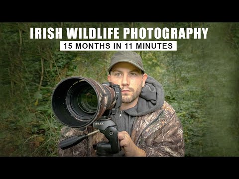 Irish Wildlife Photography - 15 Month Montage