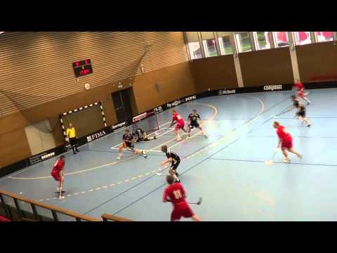 2012-11-04 Grimsta AIK vs TT Period 3 del 2