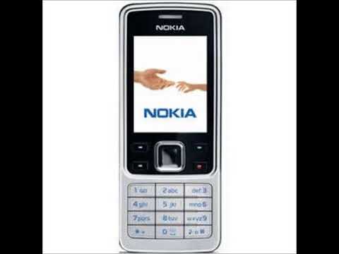 GEKO, YOUNG ADZ, DIRTBIKE LB - BEELA