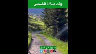 صورة أ.د. علي الشبل | وقت صلاة الضحى