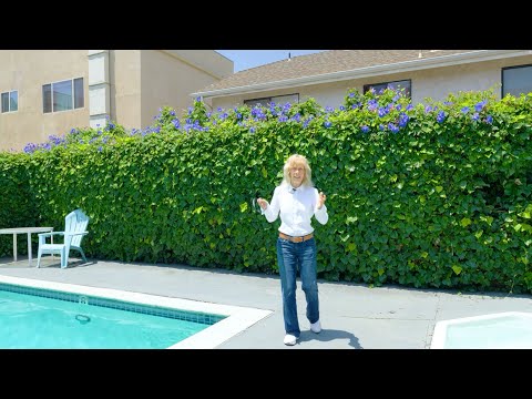 Welcome to 10757 Hortense St, Toluca Lake, CA 91602! 🏡