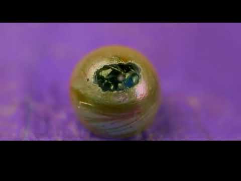 Yordan Jara - La semilla y la brasa.