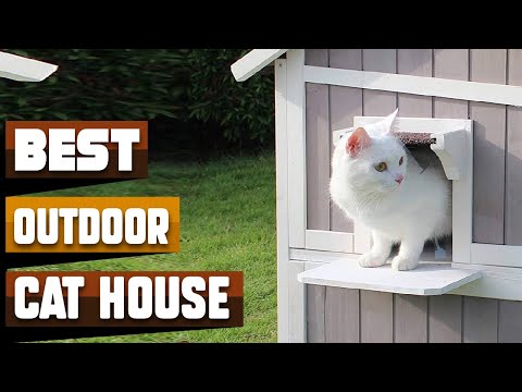 Best Outdoor Cat House In 2022 - Top 10 Outdoor Cat Houses Review