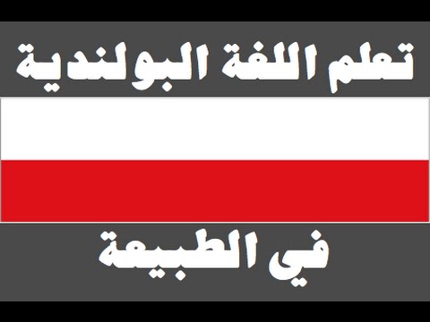 تعلم اللغة البولندية ١ العائلة Ucz się arabskiego