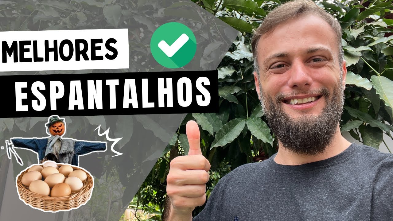 9 Melhores espantalhos para acabar com as pragas em casa