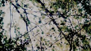 Hunger Games - Peeta&Katniss || This Was All I Wanted, All I Want