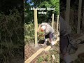 2x4 setup for 6ft dogear wood privacy fence