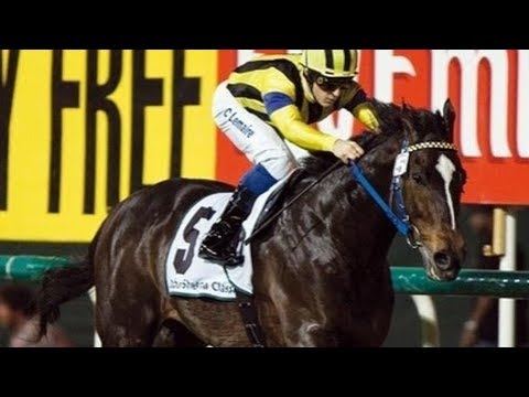 2006 Dubai Sheema Classic G1 - Heart's Cry (真心呼喚) - C.Lemaire