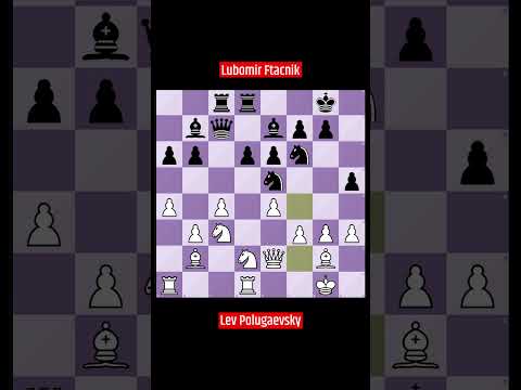 Lev Polugaevsky vs Lubomir Ftacnik 1982  #chess