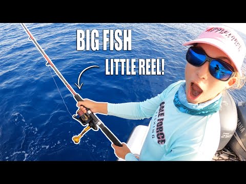 SPINNER SHARK BATTLE 🦈 Big Fish Little Reel | Gale Force Twins