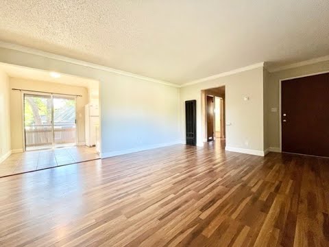 **Summer 2027 - Video 3 of 3