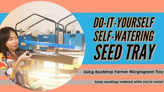 DIY Self-Watering Seed Tray | Using Bootstrap Farmer Microgreens Tray | water seedlings while away!