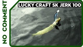 Lucky craft sk jerk 100
