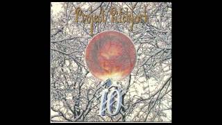 Project Pitchfork - The Seeker