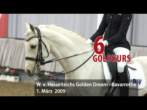06 Goldkurs Wallach v. Hesselteichs Golden Dream - Bavarrrotie