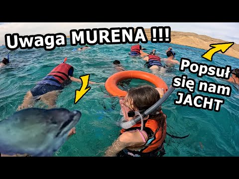 Uciekamy przed MURENĄ !!! - Nasz Statek KAPUT :-(  *Rajska Wyspa w Egipcie *Paradise Island (#1122)