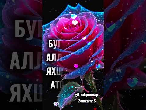 АССАЛОМУ  АЛАЙКУМ. ХАЙРЛИ  ТОНГ
