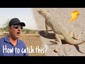 I Am Trying To Catch Lizard in Desert