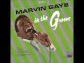 Marvin Gaye  -  Tear it on down