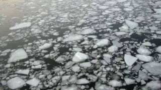 &quot;Another World&quot; Antony and The Johnsons - dont we all?