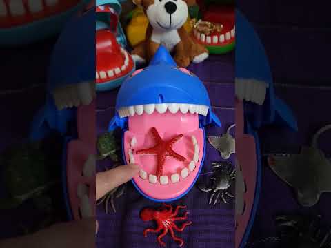 OH NO! Grumpy Shark Eat Starfish⭐️ #shorts #starfish #asmr #ytshorts #amazing #viral #trending #how