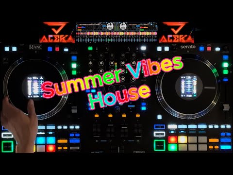 🎶 Summer Vibes DJ Set 2025 | 25min Feel-Good Disco & House Mix | DJ Aleks J (Live Set)