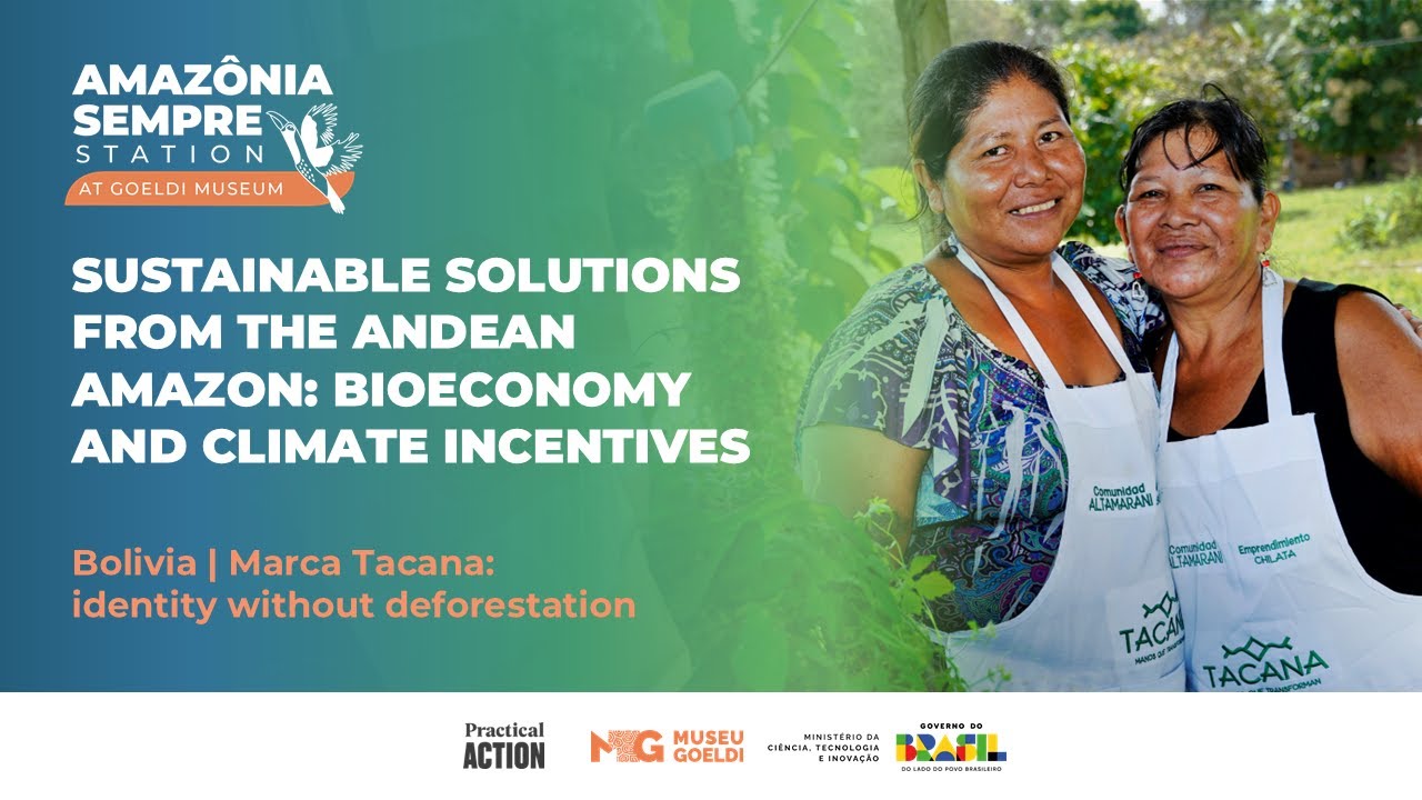 Bolivia | Marca Tacana: identity without deforestation