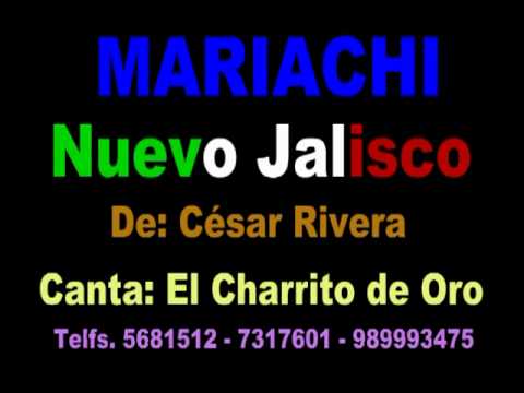 SI DIOS ME QUITA LA VIDA - MARIACHI NUEVO JALISCO - TELFS. 5681512 - 7317601 - 989993475