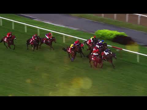 Lion City Cup 2019 Highlights