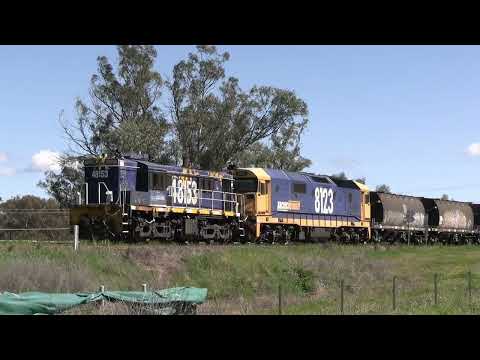 Grain and Steel Trains at Manildra, NSW