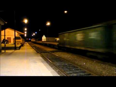 Comboio Especial n.º 92222 - Barcelos