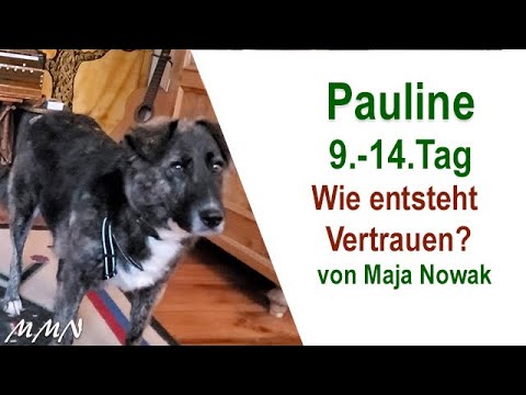 Wie entsteht Vertrauen? - Pauline 9.-14.Tag - von Maja Nowak