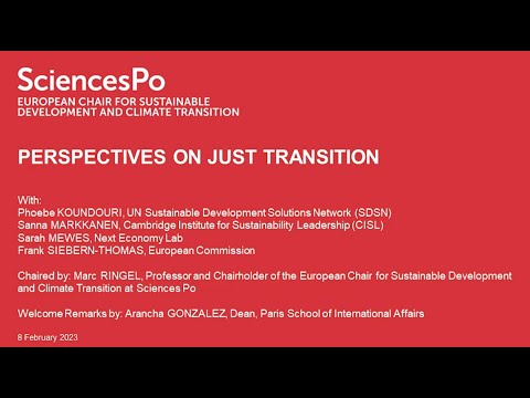 Perspectives on Just Transition