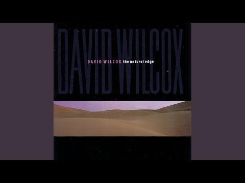 Videoclip de Tear Out Your Heart — David Wilcox