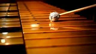 Steve Shapiro - Solo Electric/Midi Vibes HD