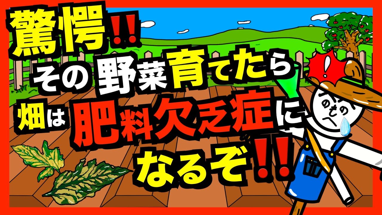 【要注意！】あなたの畑は欠乏状態！野菜を作った後に起こりやすい肥料欠乏症をまとめました！【アニメでわかる家庭菜園解説】