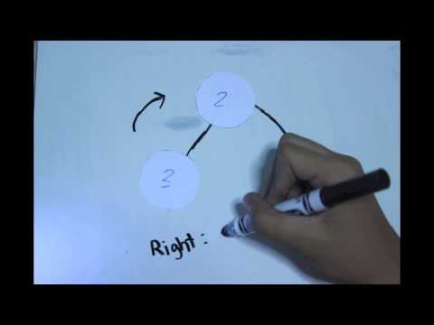 Insertion & Rotation of AVL Trees