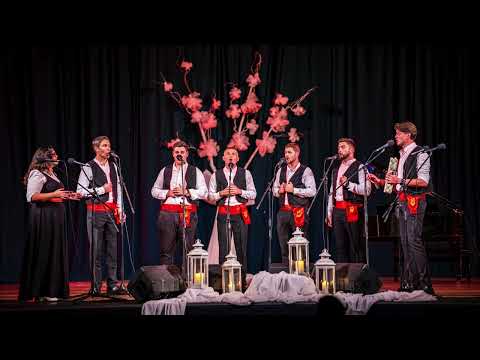 Klapa Ivo Lozica - "Preletio sivi soko" - 18. susret klapa "Martinovo lito"