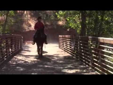 Horse rearing and flipping over backwards before and after with Mike Hughes, Auburn California